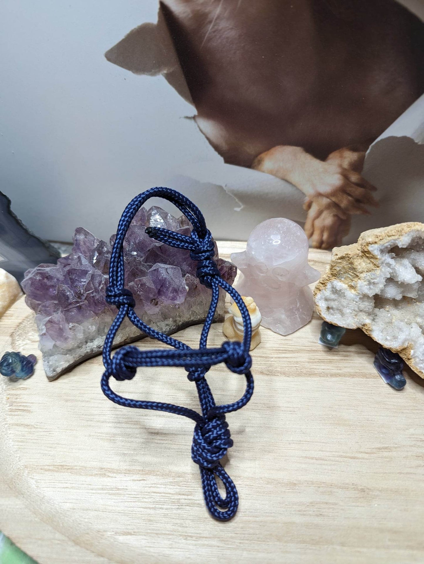 Mini Knotenhalfter Marine