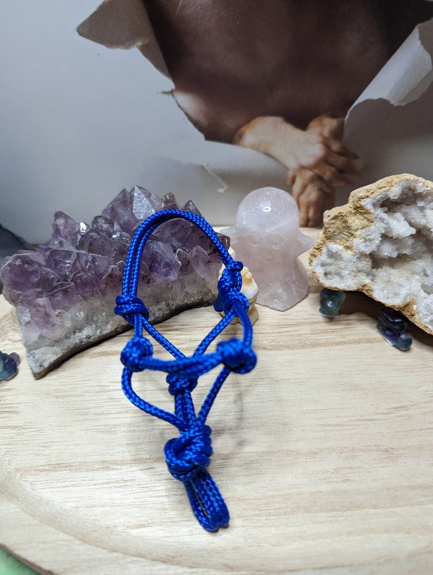 Mini Knotenhalfter Blau