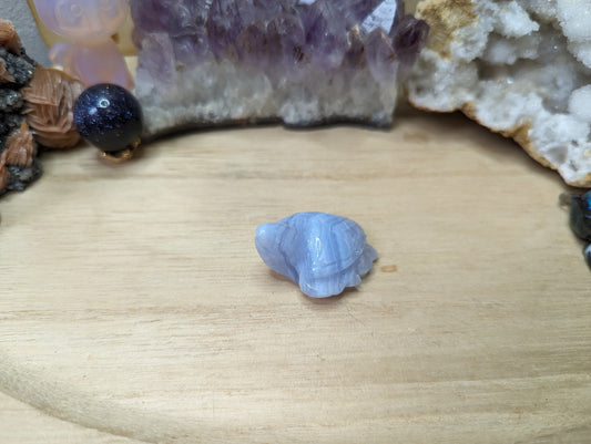 Blauer Chalcedon Schildkröte