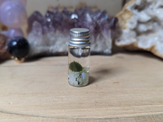 Mini Marimo