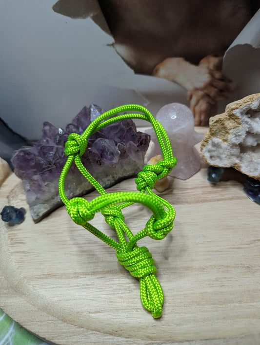 Mini Knotenhalfter Grün