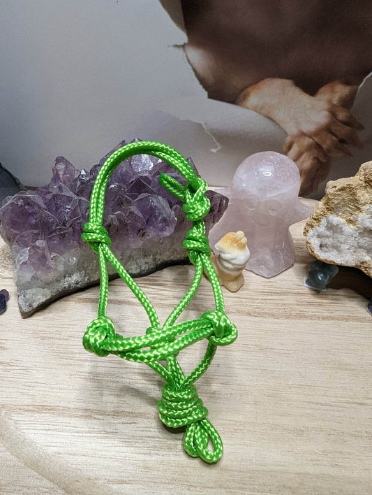 Mini Knotenhalfter Grün