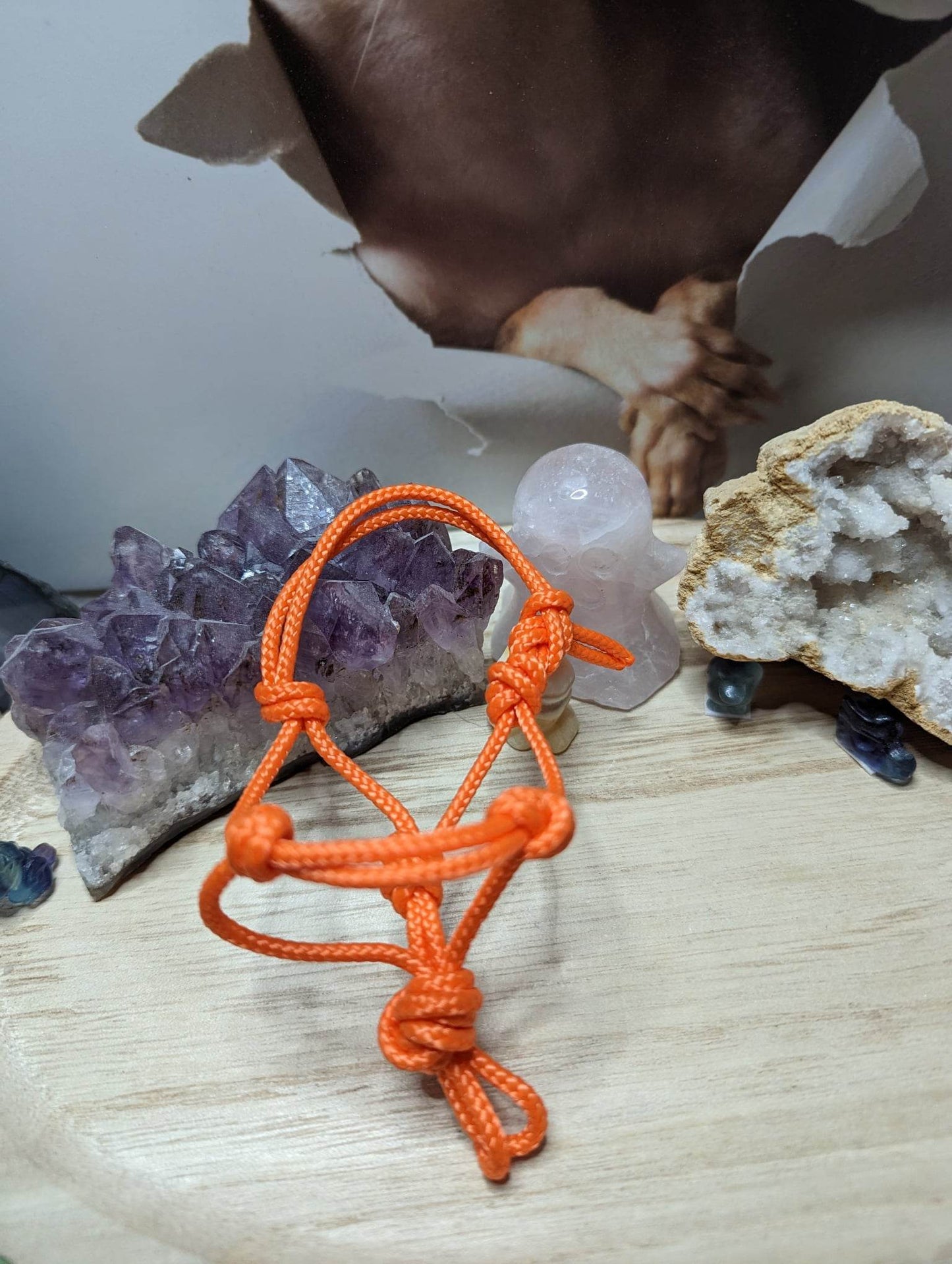 Mini Knotenhalfter Orange