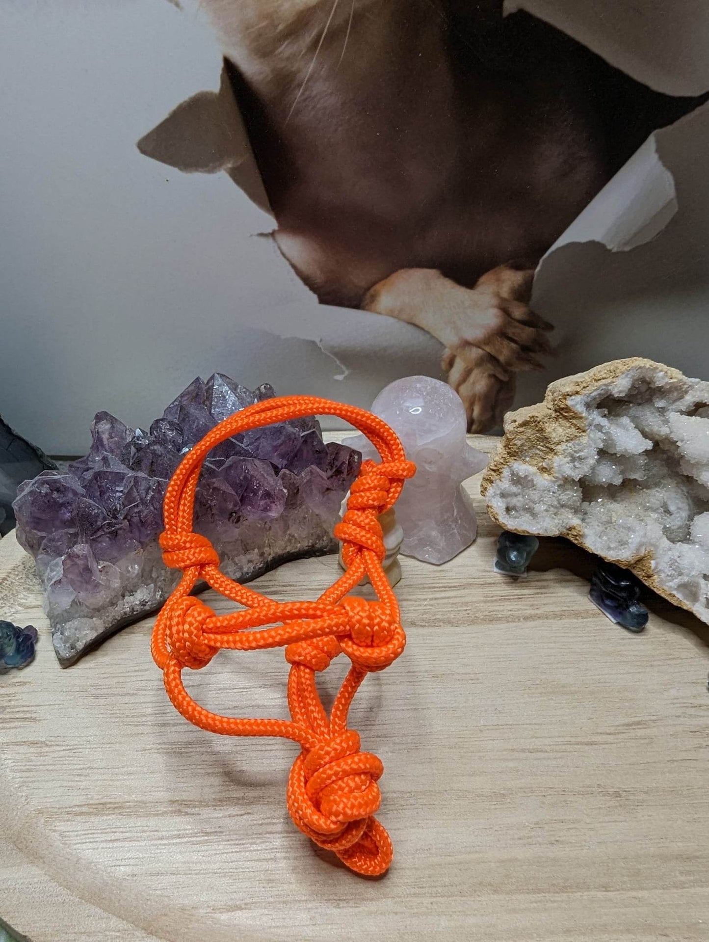 Mini Knotenhalfter Orange