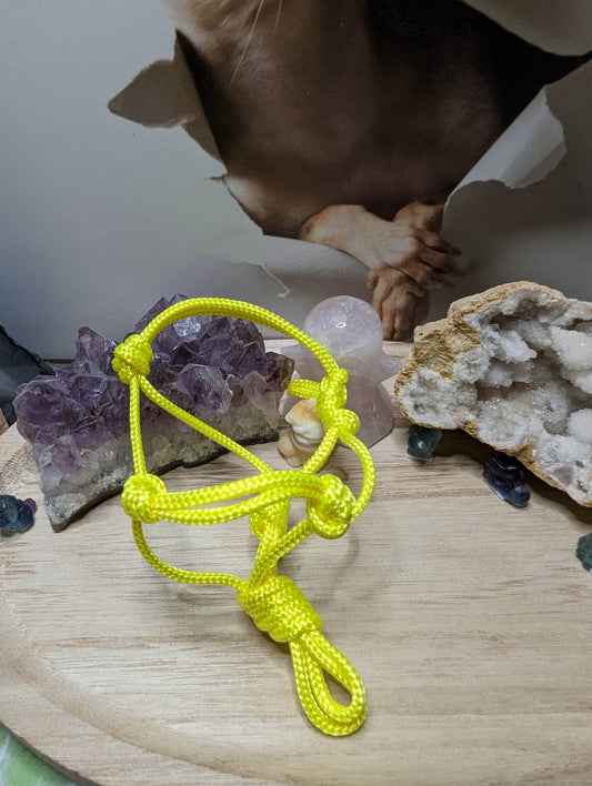 Mini Knotenhalfter Gelb